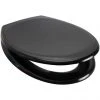 Euroshowers Rainbow Soft Close Toilet Seat - Black - 84490 -Jeme Shop 84490 P