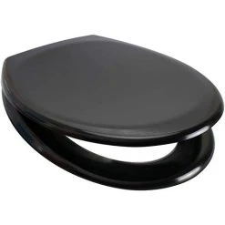Euroshowers Rainbow Soft Close Toilet Seat - Black - 84490