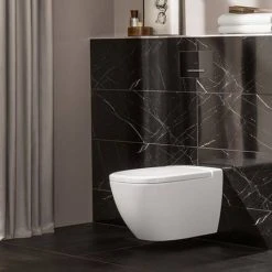 Villeroy and Boch ViConnect Glass Glossy Black Dual Flush Plate - 922160RB -Jeme Shop 922160RB D2 460