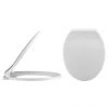 Alaska Soft Close Toilet Seat - AL10