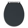 Chatsworth Graphite Soft Close Toilet Seat -Jeme Shop BLKCHATTS NP