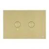 JTP Brushed Brass Steel Pneumatic Flush Plate 2 JTP Brushed Brass Steel Pneumatic Flush Plate -Jeme Shop FPBBR n p