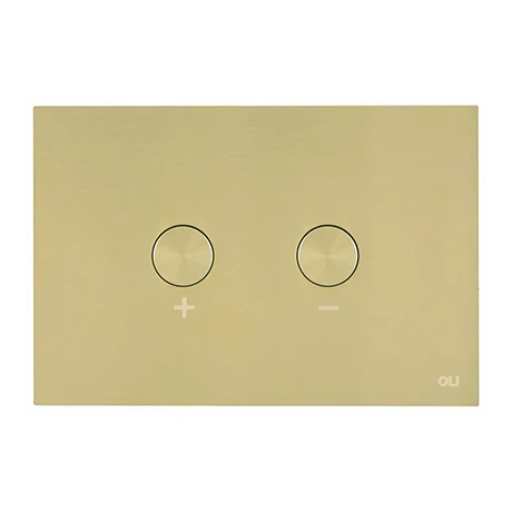 JTP Brushed Brass Steel Pneumatic Flush Plate 3 JTP Brushed Brass Steel Pneumatic Flush Plate