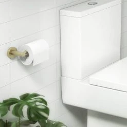 Arezzo Industrial Style Brushed Brass Toilet Roll Holder -Jeme Shop ISBBRH d5 460