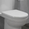 D-Shaped Rapid Fix Soft Close Toilet Seat
