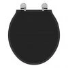 Ideal Standard Waverley Black Standard Toilet Seat & Cover -Jeme Shop U0248GB P