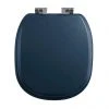Imperial Radcliffe Soft Close Toilet Seat with Chrome Hinges - Moseley Blue -Jeme Shop XW50000114NSB P
