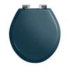 Imperial Oval Soft Close Toilet Seat with Chrome Hinges - Moseley Blue 2 Imperial Oval Soft Close Toilet Seat with Chrome Hinges - Moseley Blue -Jeme Shop XX50008114NSB P